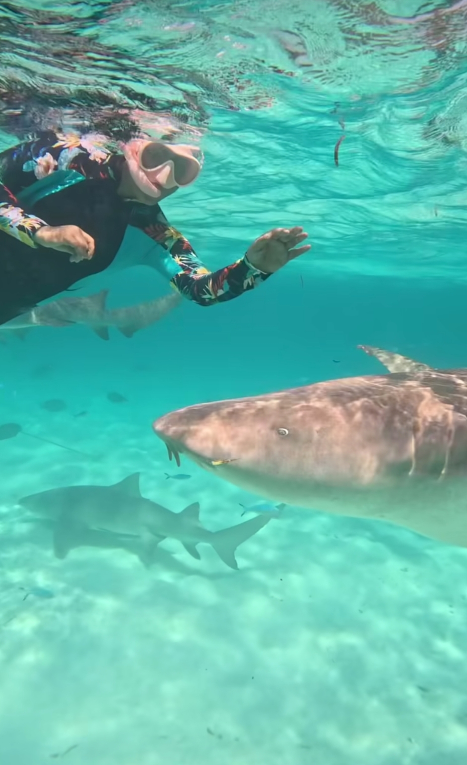 Hina Khan swimming with sharks in the Maldivian sea Hina Khan swimming with sharks in the Maldivian sea