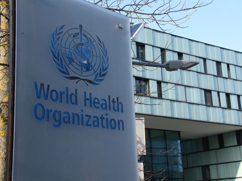 WHO confirms hantavirus cases as Andes virus infections WHO confirms hantavirus cases as Andes virus infections