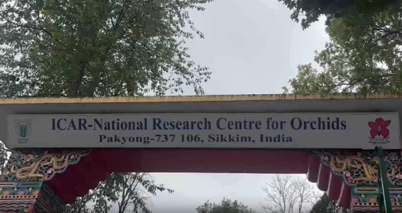 Sikkim orchids gifted by PM Modi to Norway Sikkim orchids gifted by PM Modi to Norway