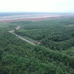 Adani Group mine restoration lush green landscape Surguja Adani Group mine restoration lush green landscape Surguja