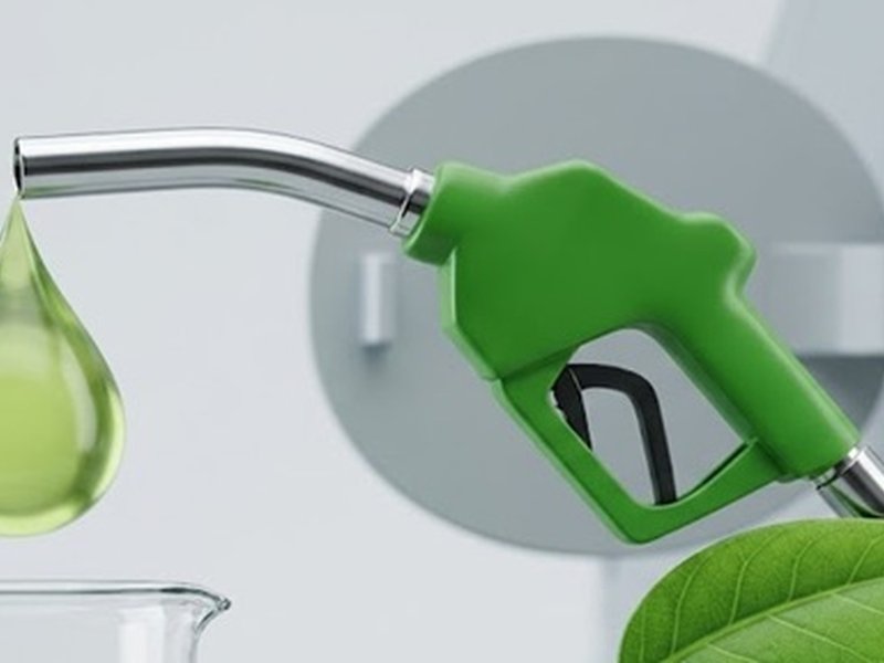 E20 ethanol blending programme multi-year initiative stakeholders E20 ethanol blending programme multi-year initiative stakeholders