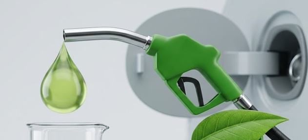 E-25 petrol rollout news dismissed by Centre E-25 petrol rollout news dismissed by Centre