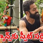 తారక్ పక్షుల పేర్లలో దాగున్న జపాన్ రహస్యం! ఎన్టీఆర్ స్టైల్ అదుర్స్! తారక్ పక్షుల పేర్లలో దాగున్న జపాన్ రహస్యం! ఎన్టీఆర్ స్టైల్ అదుర్స్!