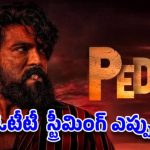 "పెద్ది" ఓటీటీ డీల్: రామ్ చరణ్ సినిమాకు నెట్ఫ్లిక్స్ రికార్డు ధర! "పెద్ది" ఓటీటీ డీల్: రామ్ చరణ్ సినిమాకు నెట్ఫ్లిక్స్ రికార్డు ధర!