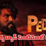 రూ. 600 టికెట్ పెట్టినా ‘పెద్ది’కి దిక్కులేని బుకింగ్స్! మెగాస్టార్ సినిమాకు ఈ దౌర్భాగ్యమా? రూ. 600 టికెట్ పెట్టినా ‘పెద్ది’కి దిక్కులేని బుకింగ్స్! మెగాస్టార్ సినిమాకు ఈ దౌర్భాగ్యమా?
