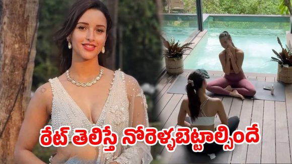కొత్త ఇల్లు కొన్న యానిమల్ బ్యూటీ.. ఎన్ని కోట్లో తెలుసా..? కొత్త ఇల్లు కొన్న యానిమల్ బ్యూటీ.. ఎన్ని కోట్లో తెలుసా..?
