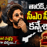 తారక్, బన్నీల రాజకీయ ఎంట్రీ: ఏపీ సీఎం పీఠంపై కన్ను? కొత్త మల్టీస్టారర్ మొదలైందా! తారక్, బన్నీల రాజకీయ ఎంట్రీ: ఏపీ సీఎం పీఠంపై కన్ను? కొత్త మల్టీస్టారర్ మొదలైందా!