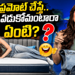లైవ్లో జరీన్ ఖాన్ ఆగ్రహం: 'మీ ముందే బట్టలు విప్పాలా?' - ఫొటోగ్రాఫర్కు దిమ్మతిరిగింది! లైవ్లో జరీన్ ఖాన్ ఆగ్రహం: 'మీ ముందే బట్టలు విప్పాలా?' - ఫొటోగ్రాఫర్కు దిమ్మతిరిగింది!