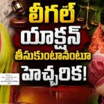 జైలర్ నటి అన్నా రేష్మకు సైబర్ వేధింపులు.. అసభ్య ఫోటోలపై ఫైర్! జైలర్ నటి అన్నా రేష్మకు సైబర్ వేధింపులు.. అసభ్య ఫోటోలపై ఫైర్!