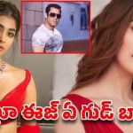 పూజా హెగ్డే సంచలన వ్యాఖ్యలు: సల్మాన్ మంచోడు, మిగతా హీరోలు కుళ్ళు కుతంత్రాలు! పూజా హెగ్డే సంచలన వ్యాఖ్యలు: సల్మాన్ మంచోడు, మిగతా హీరోలు కుళ్ళు కుతంత్రాలు!