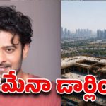 ప్రభాస్ 200 కోట్ల ప్యాలెస్: పెళ్లి కోసమేనా? షాకింగ్ నిజం ఇదే! ప్రభాస్ 200 కోట్ల ప్యాలెస్: పెళ్లి కోసమేనా? షాకింగ్ నిజం ఇదే!