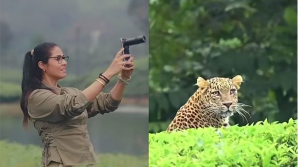 టీ ఎస్టేట్లో పులితో ముఖాముఖి: నటి సదా సాహసం చూస్తే షాక్ అవుతారు! టీ ఎస్టేట్లో పులితో ముఖాముఖి: నటి సదా సాహసం చూస్తే షాక్ అవుతారు!