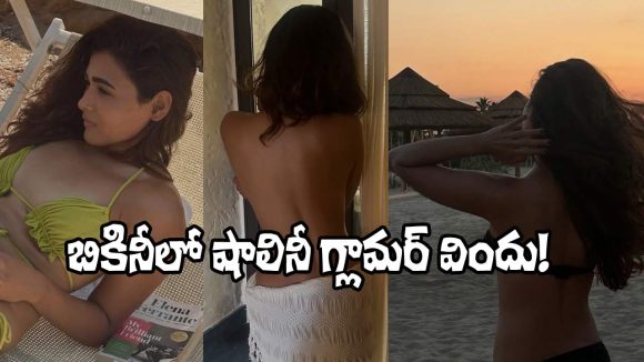 Shalini Pandey's Bold Bikini Photos Go Viral: Actress Flaunts Stunning New Slim Look! Shalini Pandey's Bold Bikini Photos Go Viral: Actress Flaunts Stunning New Slim Look!