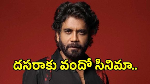 కింగ్ నాగార్జున సెంచరీ: దసరా బరిలో వందో చిత్రం! హీరోయిన్ల పోటీ!! కింగ్ నాగార్జున సెంచరీ: దసరా బరిలో వందో చిత్రం! హీరోయిన్ల పోటీ!!