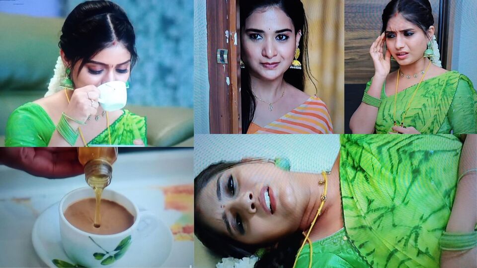 నిన్ను కోరి మే 17 ఎపిసోడ్: కాఫీలో విషం కలిపిన శాలిని- చంద్రకళకు పక్షవాతం- కిందపడబోయిన కామాక్షి- శ్రుతికి కౌంటర్ నిన్ను కోరి మే 17 ఎపిసోడ్: కాఫీలో విషం కలిపిన శాలిని- చంద్రకళకు పక్షవాతం- కిందపడబోయిన కామాక్షి- శ్రుతికి కౌంటర్