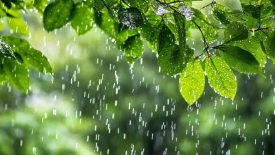 వర్షం పడినట్టు కలలు వస్తే దానికి అర్ధం ఏంటి? ఇలా కల వస్తే మాత్రం భారం తగ్గుతుంది, మానసిక ఇబ్బందులు తొలగిపోతాయి! వర్షం పడినట్టు కలలు వస్తే దానికి అర్ధం ఏంటి? ఇలా కల వస్తే మాత్రం భారం తగ్గుతుంది, మానసిక ఇబ్బందులు తొలగిపోతాయి!