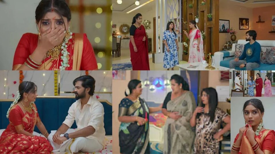 నిన్ను కోరి జూన్ 20 ఎపిసోడ్: ప్రెగ్నెన్సీ ఎలా వస్తుందో కూడా నీకు తెలియదా? కూతురిపై కోప్పడిన తల్లి.. చంద్రకళ వార్నింగ్! నిన్ను కోరి జూన్ 20 ఎపిసోడ్: ప్రెగ్నెన్సీ ఎలా వస్తుందో కూడా నీకు తెలియదా? కూతురిపై కోప్పడిన తల్లి.. చంద్రకళ వార్నింగ్!
