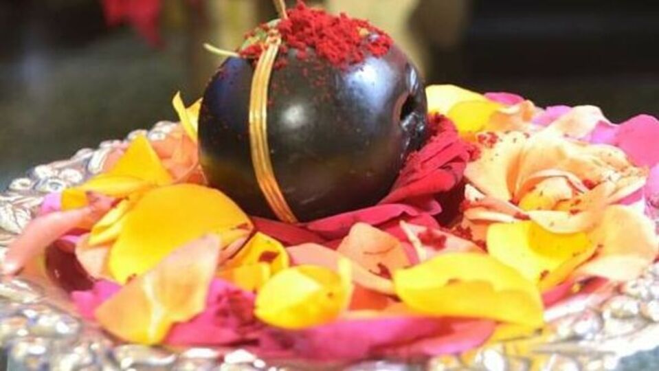 సాలిగ్రామ పూజ: ప్రాముఖ్యత, విధానం & పుణ్యఫలం సాలిగ్రామ పూజ: ప్రాముఖ్యత, విధానం & పుణ్యఫలం