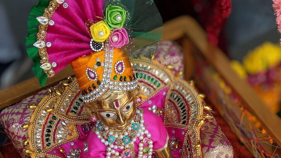 జన్మాష్టమి: తులసి మొక్కతో సిరిసంపదలు పెంచుకునే పరిహారాలు జన్మాష్టమి: తులసి మొక్కతో సిరిసంపదలు పెంచుకునే పరిహారాలు