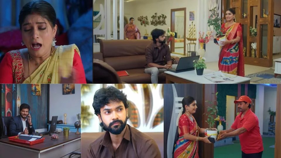 నిన్ను కోరి ఆగస్ట్ 14 ఎపిసోడ్: చంద్రకళకు కరెంట్ షాక్- అసూయతో రగిలిపోయిన విరాట్- శాలినికి కామాక్షి బ్లాక్ మెయిల్ నిన్ను కోరి ఆగస్ట్ 14 ఎపిసోడ్: చంద్రకళకు కరెంట్ షాక్- అసూయతో రగిలిపోయిన విరాట్- శాలినికి కామాక్షి బ్లాక్ మెయిల్