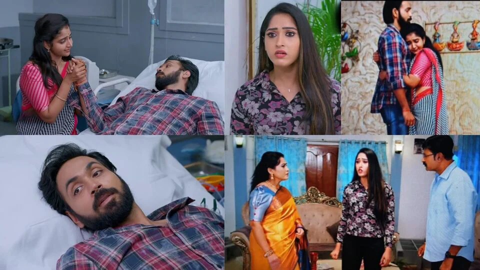 బ్రహ్మముడి ఆగస్ట్ 29 ఎపిసోడ్: రాజ్కు గుర్తుకు వచ్చిన గతం- పిచ్చిదైపోయిన యామిని- సొంతింటికి అసలైన రాజ్గా ఎంట్రీ బ్రహ్మముడి ఆగస్ట్ 29 ఎపిసోడ్: రాజ్కు గుర్తుకు వచ్చిన గతం- పిచ్చిదైపోయిన యామిని- సొంతింటికి అసలైన రాజ్గా ఎంట్రీ