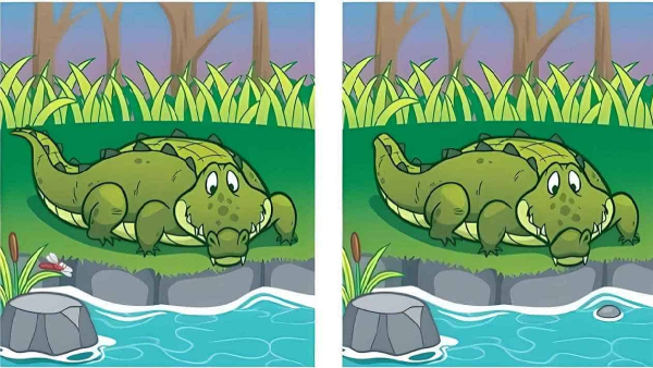 Spot 5 Differences in Crocodile Images: Can You Solve This Viral Puzzle in 13 Secs? Spot 5 Differences in Crocodile Images: Can You Solve This Viral Puzzle in 13 Secs?