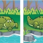 Spot 5 Differences in Crocodile Images: Can You Solve This Viral Puzzle in 13 Secs? Spot 5 Differences in Crocodile Images: Can You Solve This Viral Puzzle in 13 Secs?