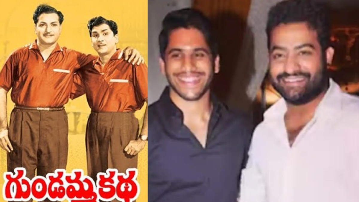 జూనియర్ ఎన్టీఆర్, నాగచైతన్య కాంబోలో గుండమ్మ కథ సీక్వెల్, ఆ ఒక్కరి వల్ల ఆగిపోయిన సినిమా జూనియర్ ఎన్టీఆర్, నాగచైతన్య కాంబోలో గుండమ్మ కథ సీక్వెల్, ఆ ఒక్కరి వల్ల ఆగిపోయిన సినిమా