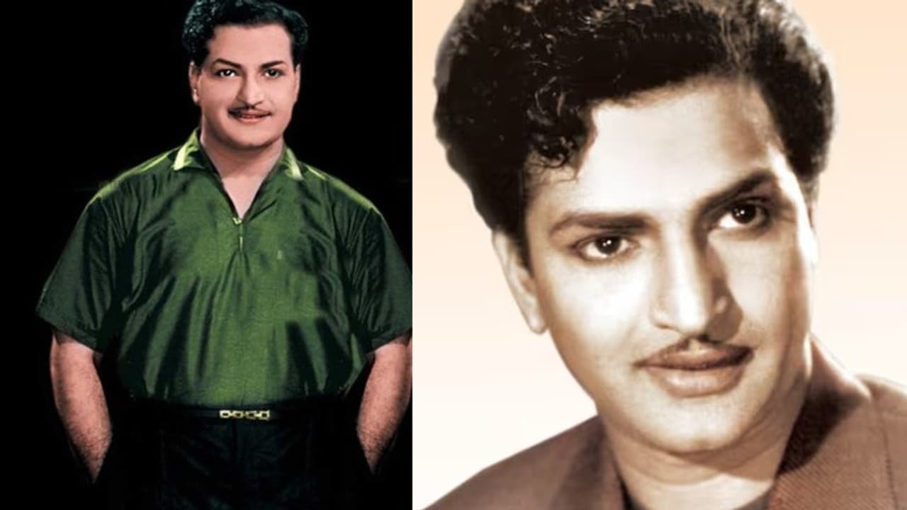 ఎన్టీఆర్ ప్రాణం కంటే మిన్నగా ప్రేమించిన హీరోయిన్ ఎవరో తెలుసా ? పెళ్ళికి రెడీ అయిన టైంలో పారిపోయింది ఎన్టీఆర్ ప్రాణం కంటే మిన్నగా ప్రేమించిన హీరోయిన్ ఎవరో తెలుసా ? పెళ్ళికి రెడీ అయిన టైంలో పారిపోయింది
