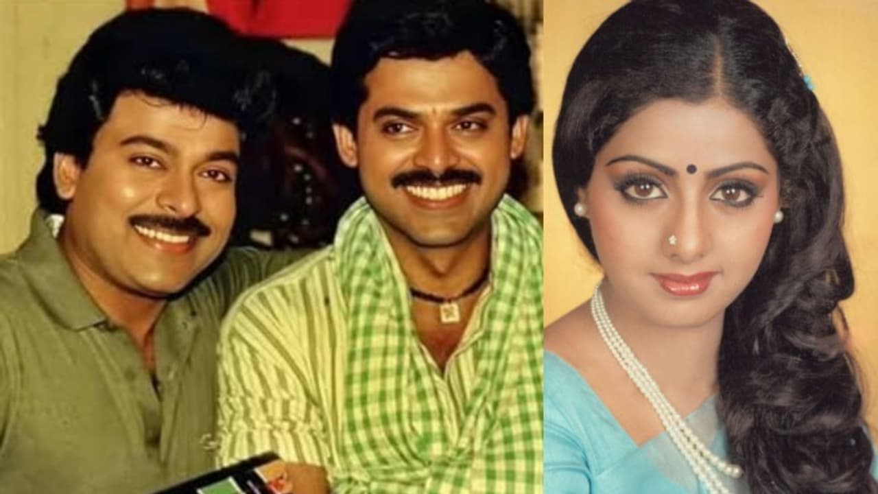 ఆమె సత్తా ఏంటో చిరంజీవి, వెంకటేష్ లకు తెలుసు..శ్రీదేవికి చెమటలు పట్టించి దురదృష్టానికి బలైన హీరోయిన్ ఆమె సత్తా ఏంటో చిరంజీవి, వెంకటేష్ లకు తెలుసు..శ్రీదేవికి చెమటలు పట్టించి దురదృష్టానికి బలైన హీరోయిన్