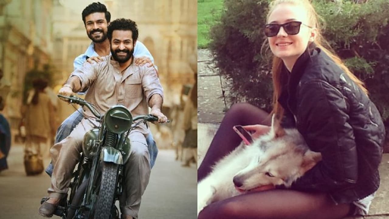 RRR దెబ్బకి హాలీవుడ్ హీరోయిన్ షాక్! బాలీవుడ్ అని పొరబడిందోచ్! RRR దెబ్బకి హాలీవుడ్ హీరోయిన్ షాక్! బాలీవుడ్ అని పొరబడిందోచ్!
