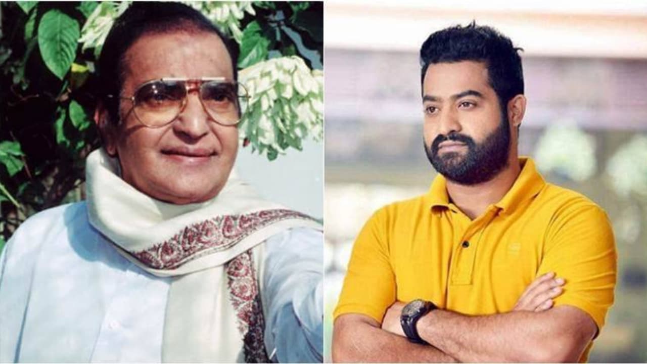 షాకింగ్ నిజాలు బయటపెట్టిన కాకినాడ శ్యామల! జూ ఎన్టీఆర్ ఫ్యామిలీ సీక్రెట్స్ వైరల్! షాకింగ్ నిజాలు బయటపెట్టిన కాకినాడ శ్యామల! జూ ఎన్టీఆర్ ఫ్యామిలీ సీక్రెట్స్ వైరల్!