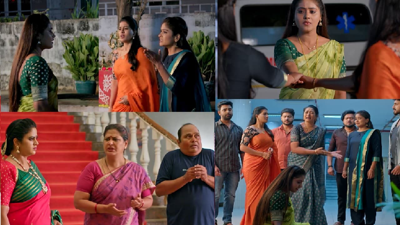 షాకింగ్: కూతురిని గెంటేసిన వేదవతి! అమూల్య ఆత్మహత్యాయత్నం? ఇల్లు ఇల్లాలు పిల్లలు సీరియల్లో ఊహించని ట్విస్ట్! షాకింగ్: కూతురిని గెంటేసిన వేదవతి! అమూల్య ఆత్మహత్యాయత్నం? ఇల్లు ఇల్లాలు పిల్లలు సీరియల్లో ఊహించని ట్విస్ట్!