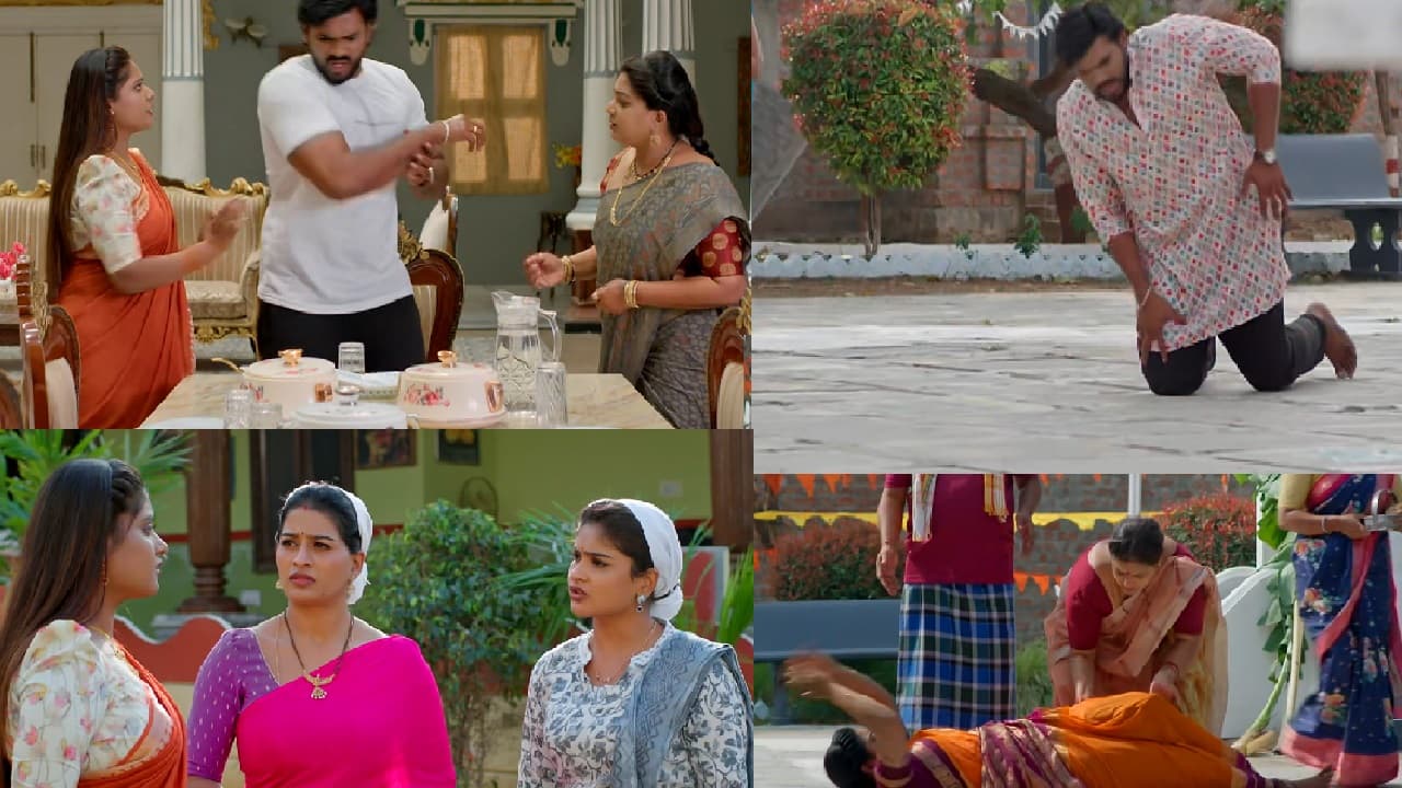 Amulya's Revenge Shakes Illu Illalu Pillalu: Vishwak Faces Sambar Shock & Temple Humiliation Amulya's Revenge Shakes Illu Illalu Pillalu: Vishwak Faces Sambar Shock & Temple Humiliation