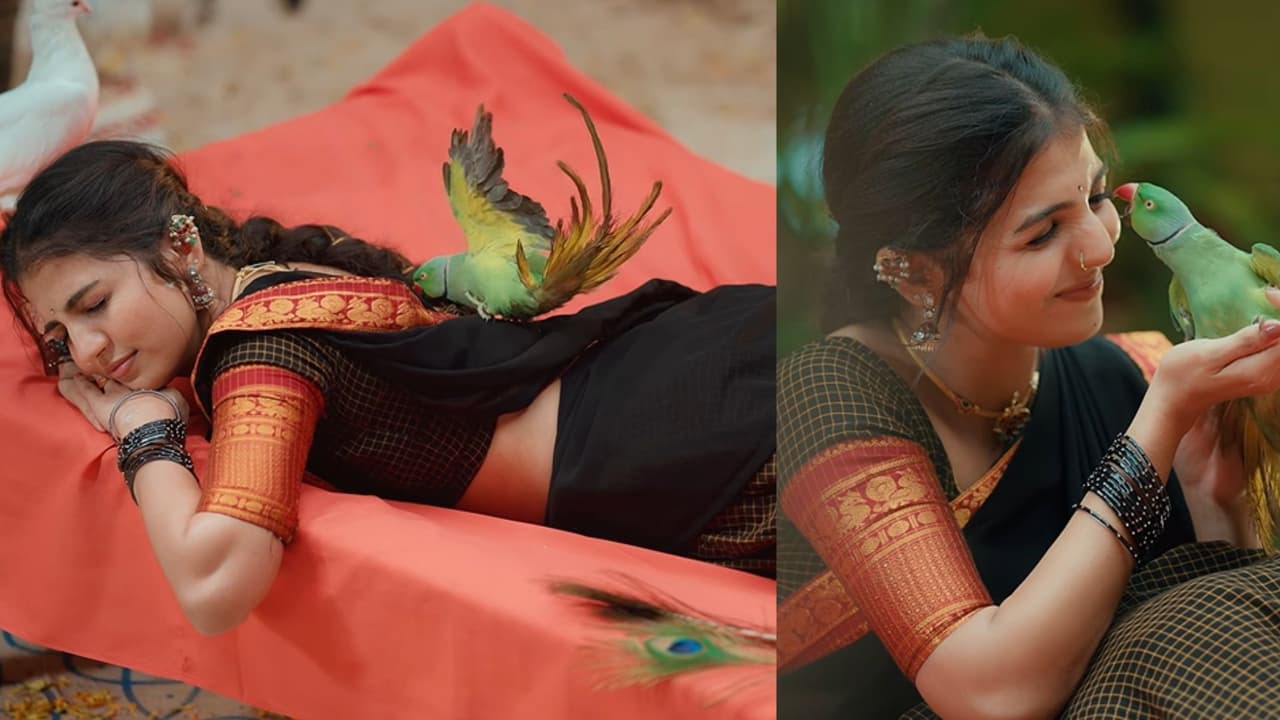 Mamidi Konala Meena: The Viral Folk Song Captivating YouTube with Rural Charm Mamidi Konala Meena: The Viral Folk Song Captivating YouTube with Rural Charm