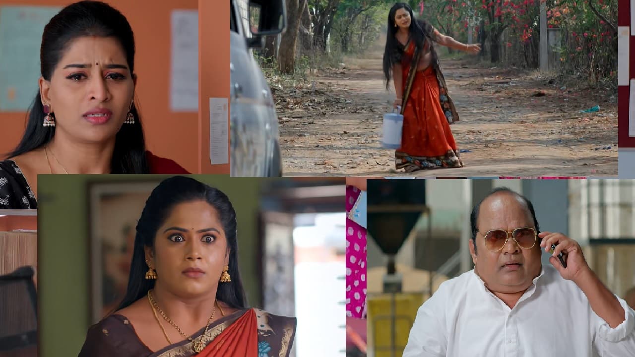Illu Illalu Pillalu: Narmada Humiliation, Dheeraj's Loan, & Ramaraju's Rice Mill Dilemma Illu Illalu Pillalu: Narmada Humiliation, Dheeraj's Loan, & Ramaraju's Rice Mill Dilemma
