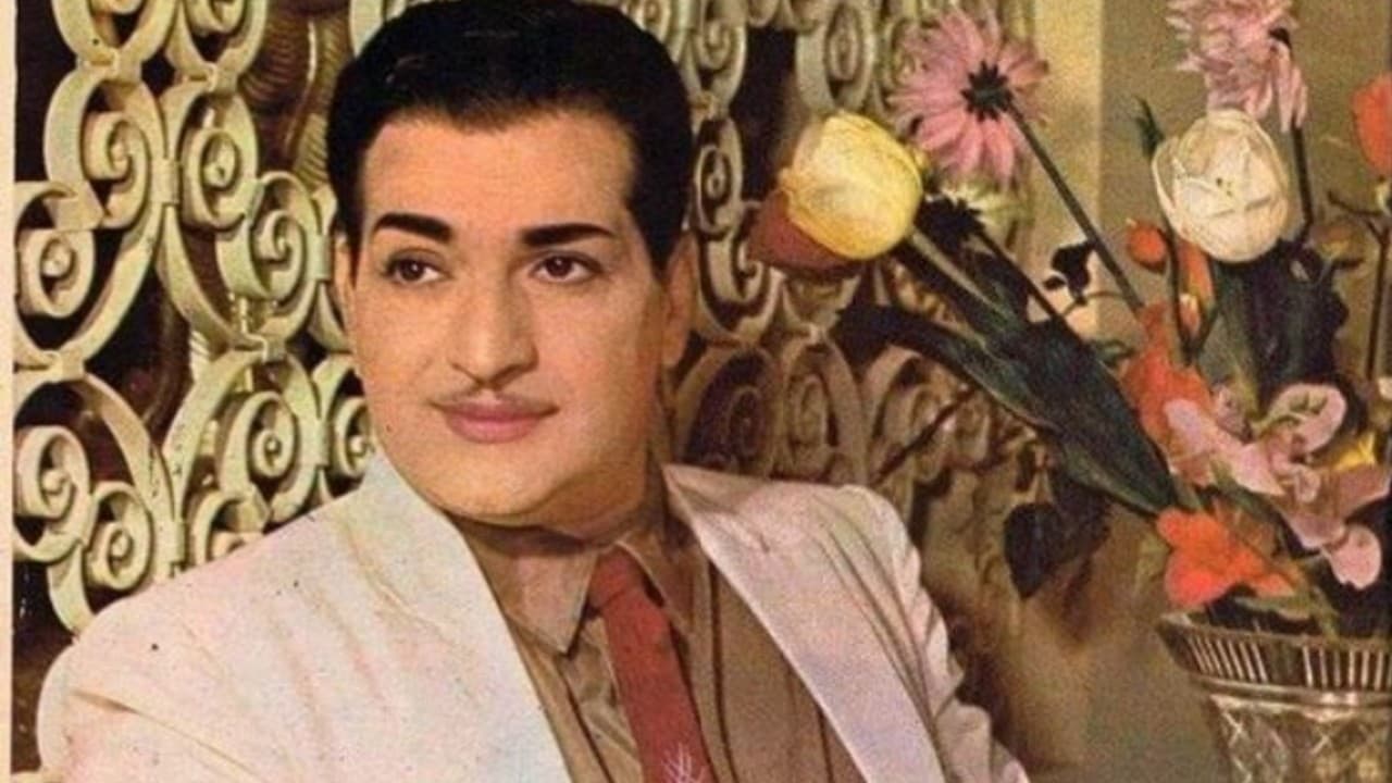 ఎన్టీఆర్ తో ఆ స్టార్ హీరోయిన్ బంధం! 17 సినిమాలు వదులుకోవడానికి అసలు కారణం ఇదేనా? షాకింగ్ నిజాలు! ఎన్టీఆర్ తో ఆ స్టార్ హీరోయిన్ బంధం! 17 సినిమాలు వదులుకోవడానికి అసలు కారణం ఇదేనా? షాకింగ్ నిజాలు!
