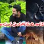 ఎన్టీఆర్-త్రివిక్రమ్ మాస్ కాంబో: 'గాడ్ ఆఫ్ వార్' మైథలాజికల్ మూవీ షాకింగ్ అప్డేట్! ఎన్టీఆర్-త్రివిక్రమ్ మాస్ కాంబో: 'గాడ్ ఆఫ్ వార్' మైథలాజికల్ మూవీ షాకింగ్ అప్డేట్!