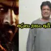 Shocking: ప్రభాస్ ‘ఫౌజీ’ సెట్స్లో విషపురుగు కాటు?.. రాజేష్ శర్మ పీఏ క్లారిటీ ఇవ్వండి! Shocking: ప్రభాస్ ‘ఫౌజీ’ సెట్స్లో విషపురుగు కాటు?.. రాజేష్ శర్మ పీఏ క్లారిటీ ఇవ్వండి!