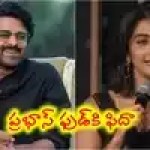 ప్రభాస్ కుక్ని కిడ్నాప్ చేస్తా! పూజా హెగ్డే షాకింగ్ కామెంట్స్.. డార్లింగ్ రాయల్ ఆతిథ్యంపై వైరల్ చర్చ! ప్రభాస్ కుక్ని కిడ్నాప్ చేస్తా! పూజా హెగ్డే షాకింగ్ కామెంట్స్.. డార్లింగ్ రాయల్ ఆతిథ్యంపై వైరల్ చర్చ!