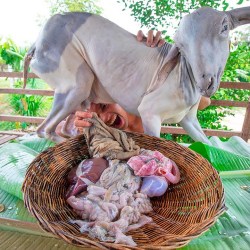 Resep Jeroan Kambing: Sajian Lezat Kaya Manfaat Resep Jeroan Kambing: Sajian Lezat Kaya Manfaat