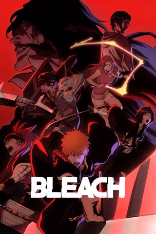 Bleach Season 3 Hindi Dubbed Bleach Season 3 Hindi Dubbed