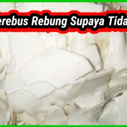 Cara Merebus Rebung Yang Benar untuk Hasil Maksimal Cara Merebus Rebung Yang Benar untuk Hasil Maksimal