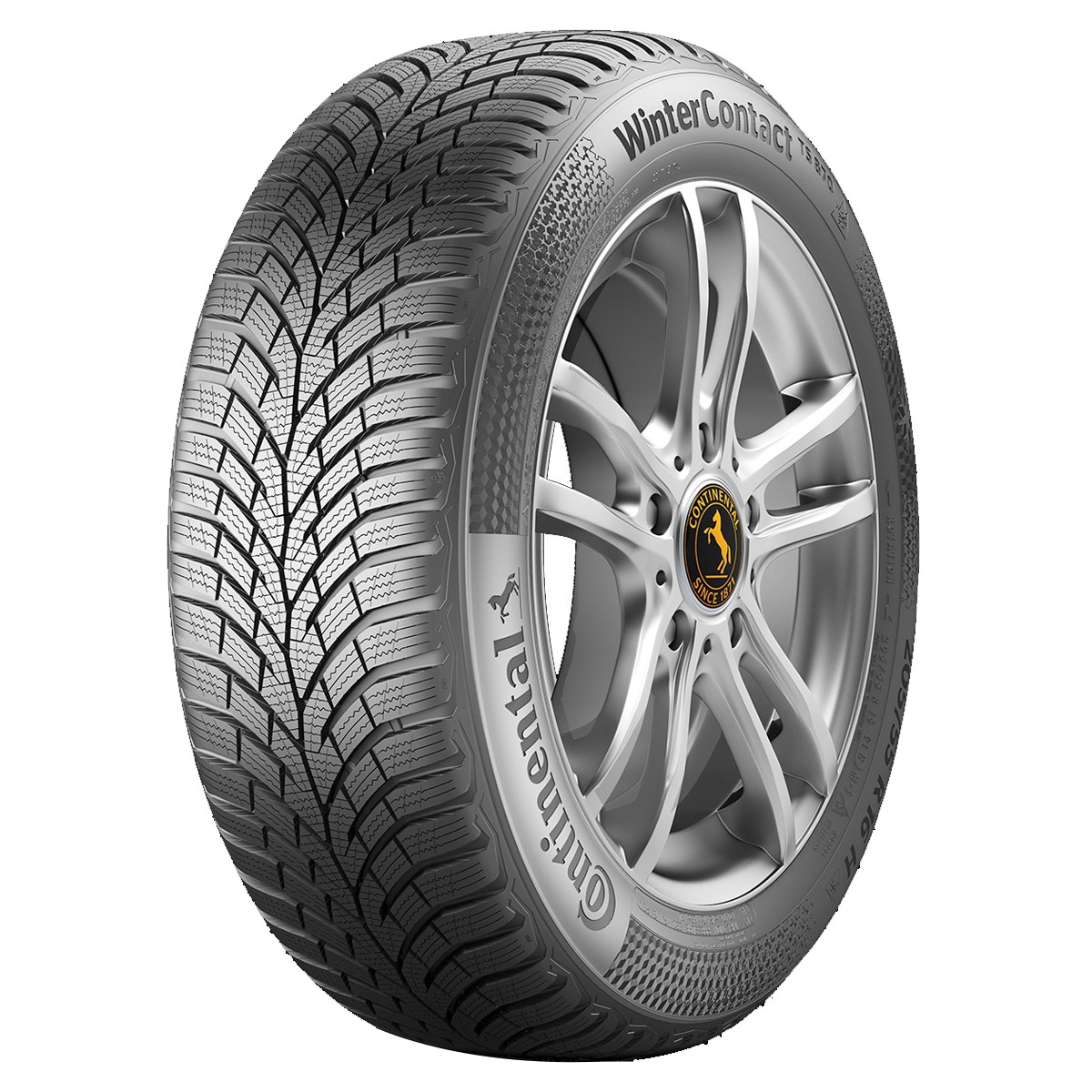 ANVELOPE IARNA CONTINENTAL WINTER CONTACT TS870 215 60 R16 95H —
