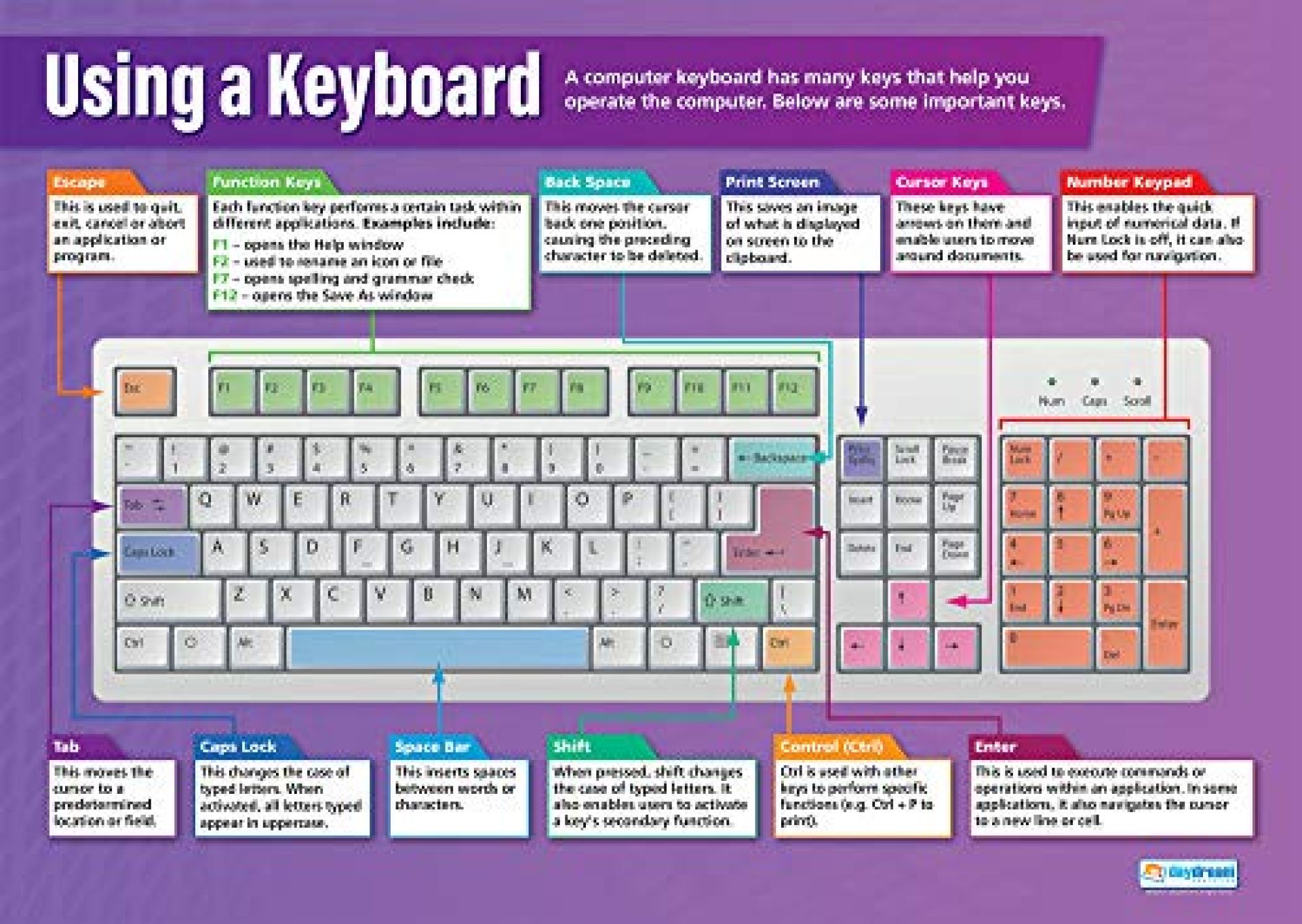 Using a Keyboard | Technology and Computing Posters | Laminated Gloss Paper Measuring 33” x 23.5” | ICT Charts for The Classroom | Education Charts by Daydream Education Using a Keyboard | Technology and Computing Posters | Laminated Gloss Paper Measuring 33” x 23.5” | ICT Charts for The Classroom | Education Charts by Daydream Education