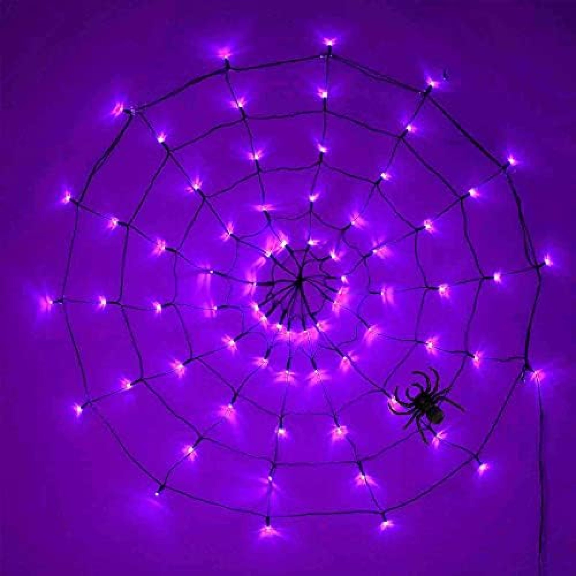 Bunny Chorus 4FT 8 Modes Halloween Spider Web Lights Decorations, 70 LEDs Purple Waterproof Lights with Black Spider, Indoor and Outdoor Halloween Decorations, Haunted House Halloween Decor Bunny Chorus 4FT 8 Modes Halloween Spider Web Lights Decorations, 70 LEDs Purple Waterproof Lights with Black Spider, Indoor and Outdoor Halloween Decorations, Haunted House Halloween Decor