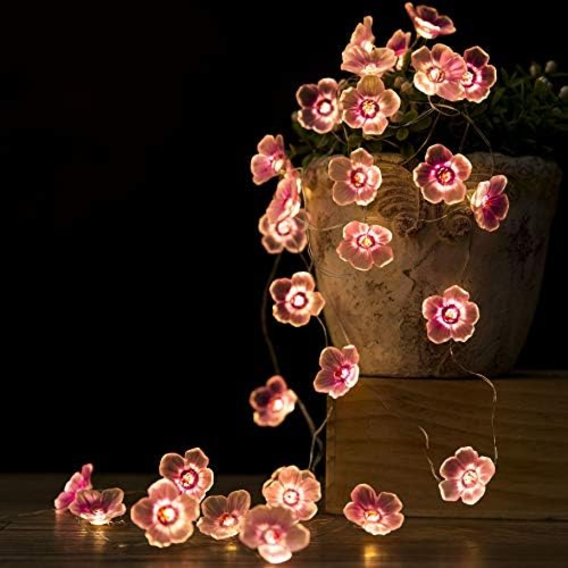 Flower Fairy Lights, 10Ft 30 LED Pink Cherry Blossom String Lights Indoor Battery Operated String Lights for Bedroom Christmas Valentine’s Day Wedding Party Patio Decoration Flower Fairy Lights, 10Ft 30 LED Pink Cherry Blossom String Lights Indoor Battery Operated String Lights for Bedroom Christmas Valentine’s Day Wedding Party Patio Decoration