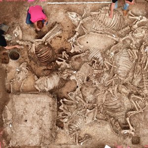 Unveiling Sacrificial Secrets: The 1,500-Year-Old Germanic Lord’s Mysterious Tomb Unveiling Sacrificial Secrets: The 1,500-Year-Old Germanic Lord’s Mysterious Tomb