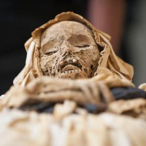 Echoes of Tragedy: 300-Year-Old Mummies Shed Light on the Tragic Tales of Veronica Skripetz and Johannes Orlovits Echoes of Tragedy: 300-Year-Old Mummies Shed Light on the Tragic Tales of Veronica Skripetz and Johannes Orlovits