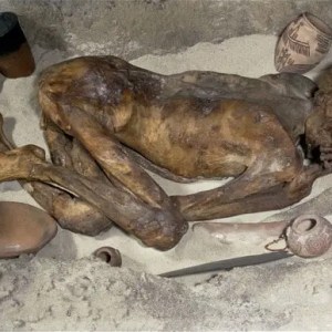 Unveiling the Mysteries of the Gebelein Man: A Violent Death in Ancient Egypt Unveiling the Mysteries of the Gebelein Man: A Violent Death in Ancient Egypt